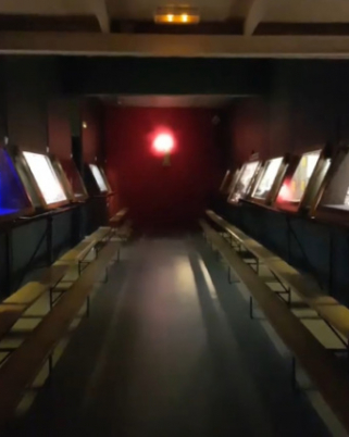 Clausura de l’exposició