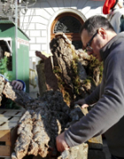 La Festa del Pessebre ja és aquí