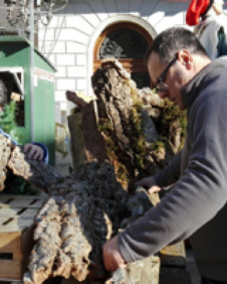 Un desembre força actiu