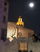 La Festa del Pessebre 2019