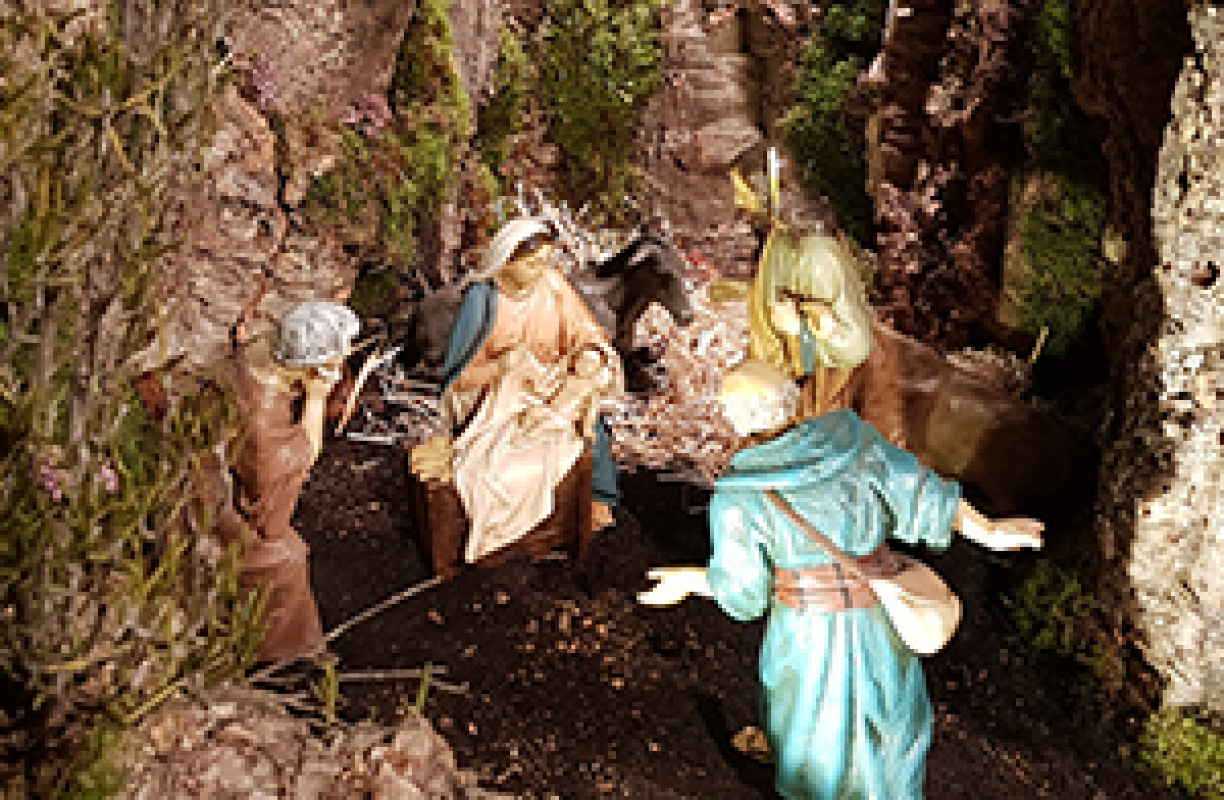 Qui ha trobat l’esquirol?